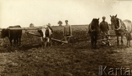 Fotografia z kolekcji Jolanty Woszczynin / Fotografía de la colección de Jolanta Woszczynin