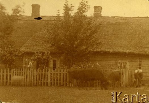 Fotografia z kolekcji Jolanty Woszczynin / Fotografía de la colección de Jolanta Woszczynin