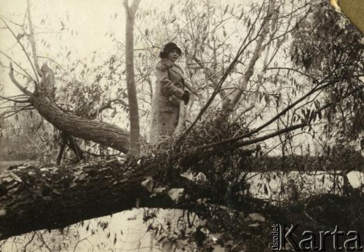 Fotografia z kolekcji Jolanty Woszczynin / Fotografía de la colección de Jolanta Woszczynin