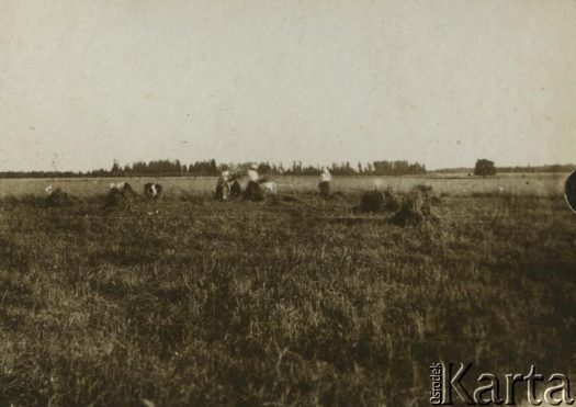 Fotografia z kolekcji Jolanty Woszczynin / Fotografía de la colección de Jolanta Woszczynin
