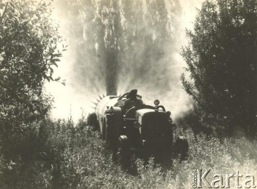 Fotografia z kolekcji Jolanty Woszczynin / Fotografía de la colección de Jolanta Woszczynin