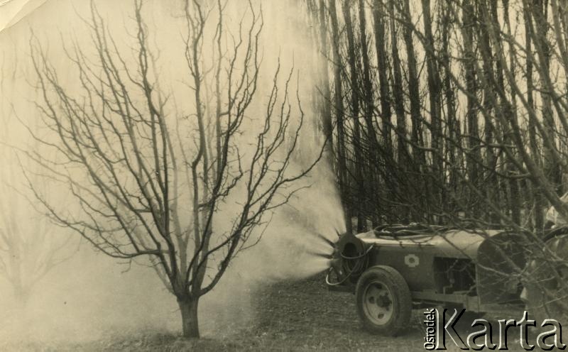Fotografia z kolekcji Jolanty Woszczynin / Fotografía de la colección de Jolanta Woszczynin