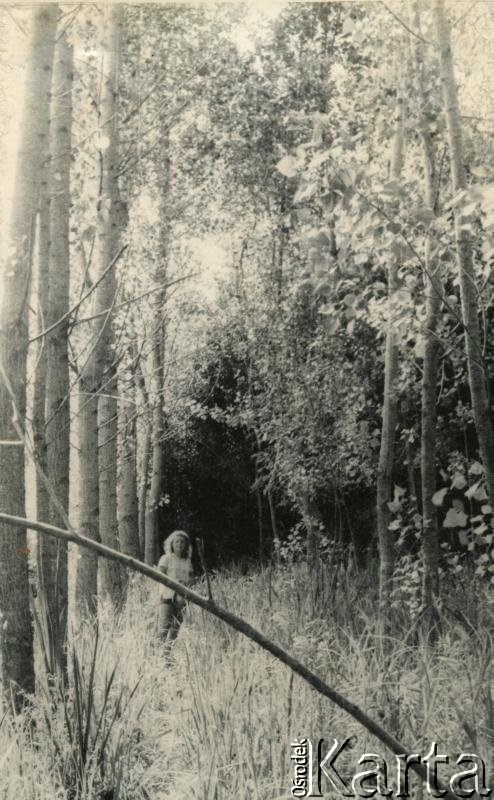 Fotografia z kolekcji Jolanty Woszczynin / Fotografía de la colección de Jolanta Woszczynin