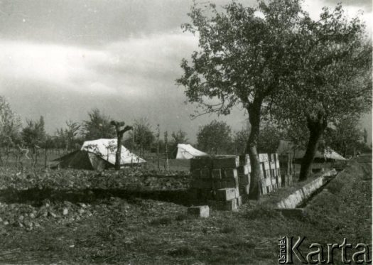 Fotografia z kolekcji Magdaleny Braun / Fotografía de la colección de Magdalena Braun