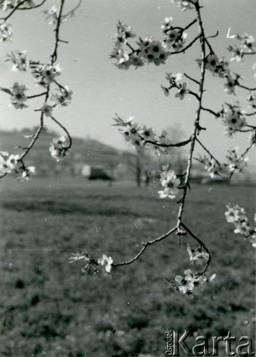 Fotografia z kolekcji Magdaleny Braun / Fotografía de la colección de Magdalena Braun