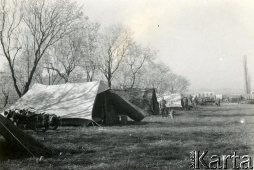 Fotografia z kolekcji Magdaleny Braun / Fotografía de la colección de Magdalena Braun