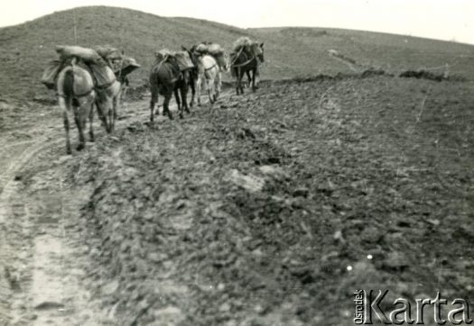 Fotografia z kolekcji Magdaleny Braun / Fotografía de la colección de Magdalena Braun