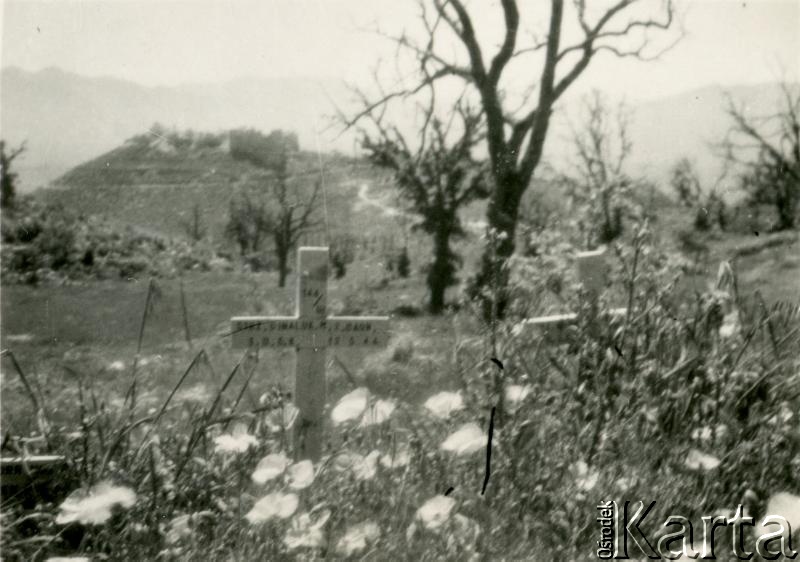 Fotografia z kolekcji Magdaleny Braun / Fotografía de la colección de Magdalena Braun