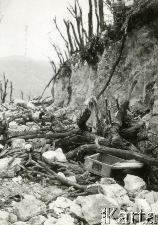 Fotografia z kolekcji Magdaleny Braun / Fotografía de la colección de Magdalena Braun