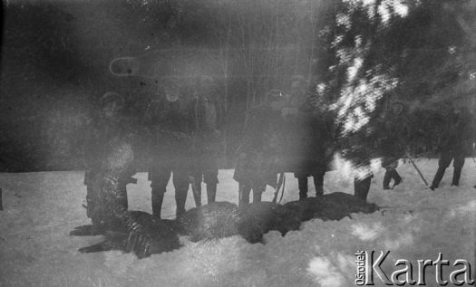 Fotografia z kolekcji Marii Wielowieyskiej / Fotografía de la colección de Maria Wielowieyska