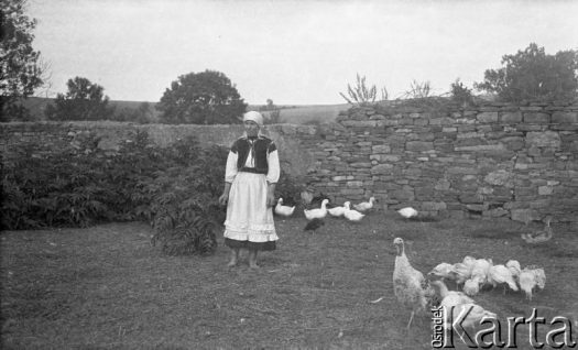 Fotografia z kolekcji Marii Wielowieyskiej / Fotografía de la colección de Maria Wielowieyska