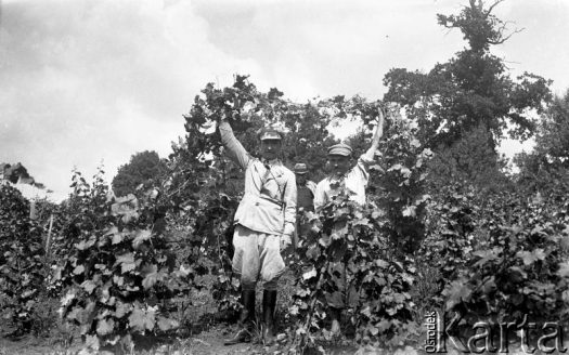 Fotografia z kolekcji Marii Wielowieyskiej / Fotografía de la colección de Maria Wielowieyska