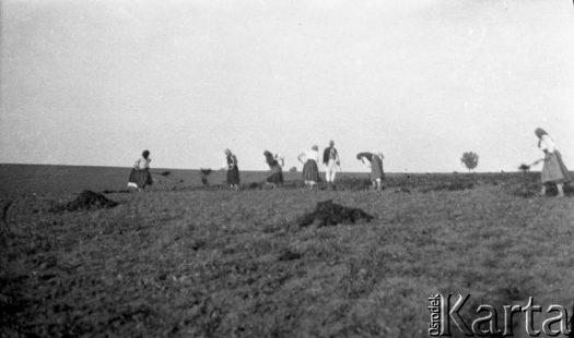 Fotografia z kolekcji Marii Wielowieyskiej / Fotografía de la colección de Maria Wielowieyska