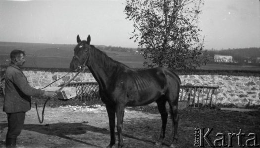 Fotografia z kolekcji Marii Wielowieyskiej / Fotografía de la colección de Maria Wielowieyska