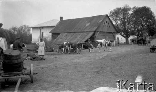Fotografia z kolekcji Marii Wielowieyskiej / Fotografía de la colección de Maria Wielowieyska