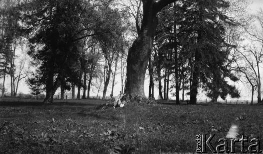 Fotografia z kolekcji Marii Wielowieyskiej / Fotografía de la colección de Maria Wielowieyska