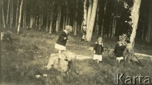 Fotografia z kolekcji Marii Wielowieyskiej / Fotografía de la colección de Maria Wielowieyska