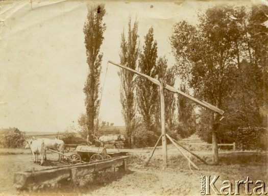 Fotografia z kolekcji Marii Wielowieyskiej / Fotografía de la colección de Maria Wielowieyska