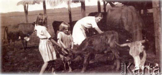 Fotografia z kolekcji Fabiany Śniechowski / Fotografía de la colección de Fabiana Śniechowski