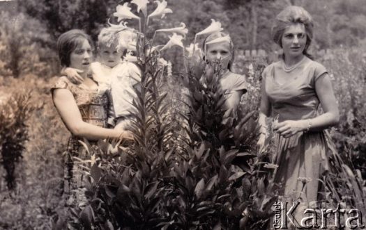 Fotografia z kolekcji Fabiany Śniechowski / Fotografía de la colección de Fabiana Śniechowski