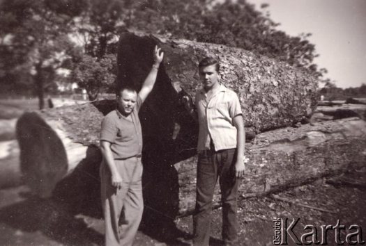 Fotografia z kolekcji Fabiany Śniechowski / Fotografía de la colección de Fabiana Śniechowski