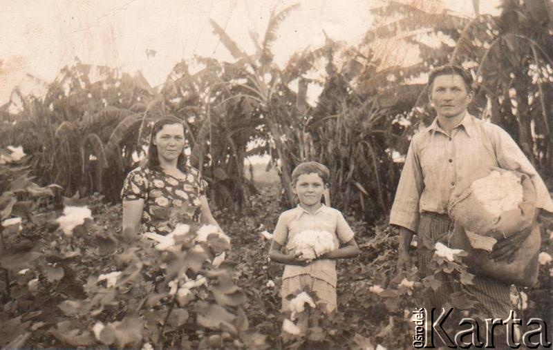 Fotografia z kolekcji Fabiany Śniechowski / Fotografía de la colección de Fabiana Śniechowski