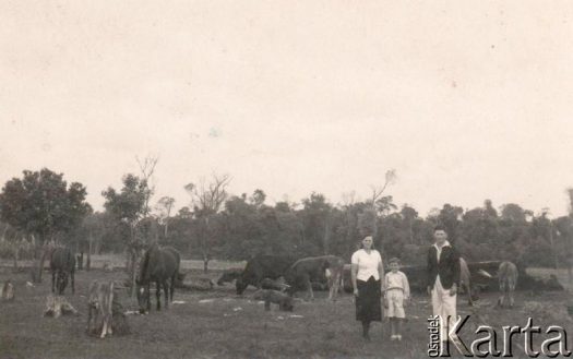 Fotografia z kolekcji Fabiany Śniechowski / Fotografía de la colección de Fabiana Śniechowski