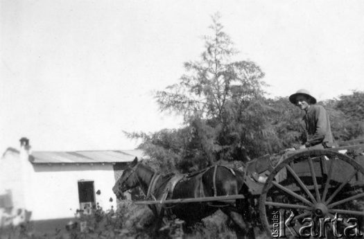 Fotografia z kolekcji Fabiany Śniechowski / Fotografía de la colección de Fabiana Śniechowski