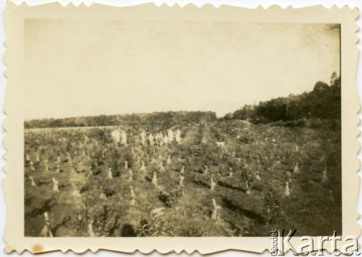 Fotografia z kolekcji Józefy Raczkowski / Fotografía de la colección de Józefa Raczkowski