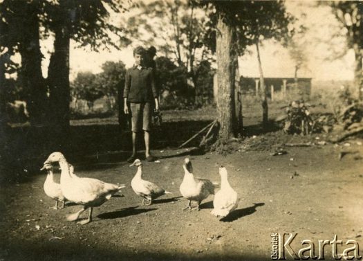 Fotografia z kolekcji Józefy Raczkowski / Fotografía de la colección de Józefa Raczkowski