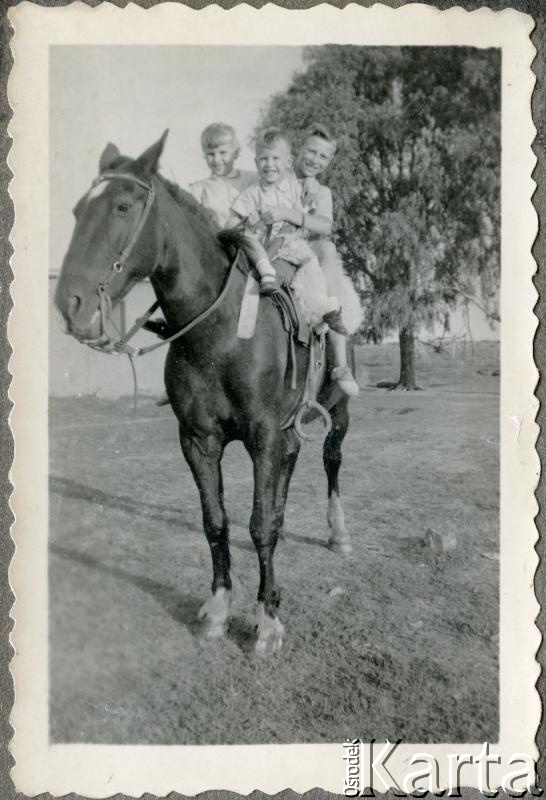 Fotografia z kolekcji Adeli Kozlowski i Eugeniusza Zacharko / Fotografía de la colección de Adela Kozlowski y Eugeniusz Zacharko