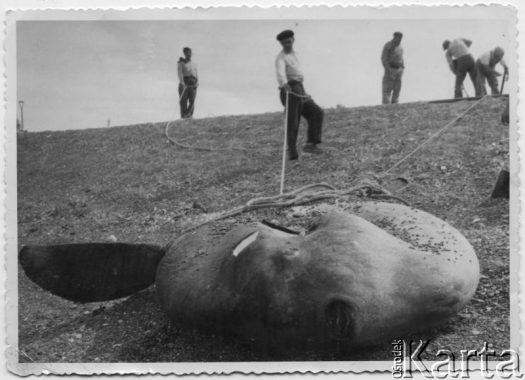 Fotografia z kolekcji Enrique Koprowskiego / Fotografía de la colección de Enrique Koprowski