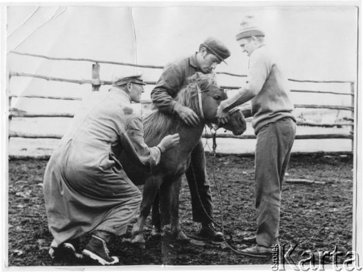 Fotografia z kolekcji Enrique Koprowskiego / Fotografía de la colección de Enrique Koprowski