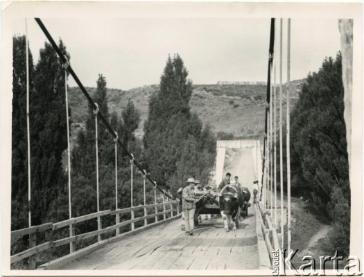 Fotografia z kolekcji Enrique Koprowskiego / Fotografía de la colección de Enrique Koprowski