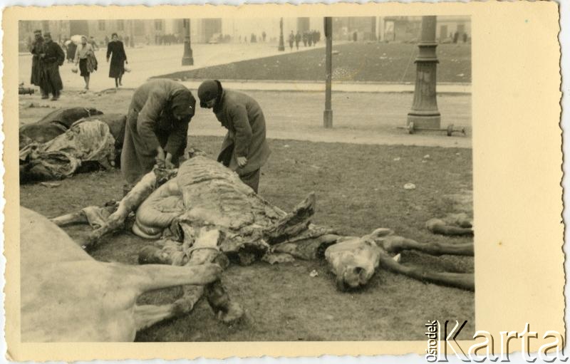 Fotografia z kolekcji Juana Ludvica Figny / Fotografía de la colección de Juan Ludvic Figna