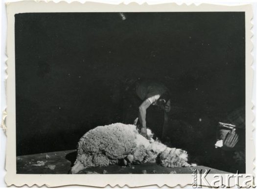 Fotografia z kolekcji Moniki Mickiewicz / Fotografía de la colección de Monika Mickiewicz