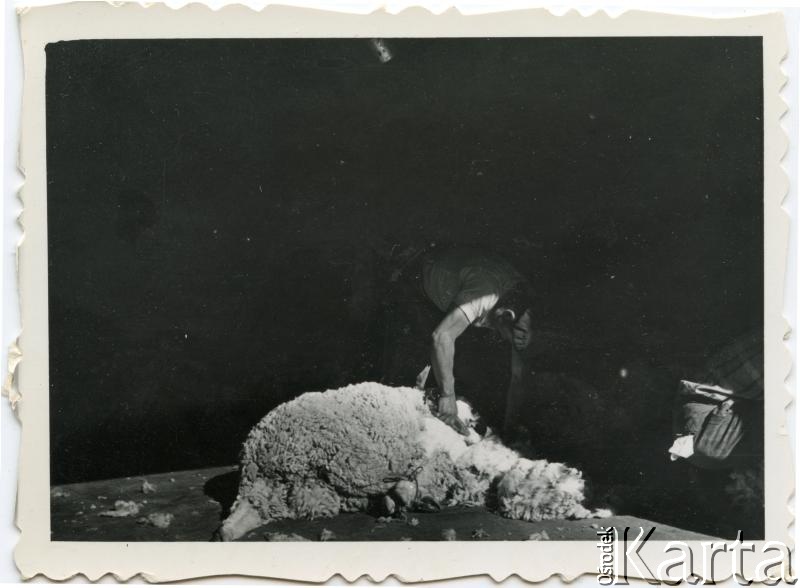 Fotografia z kolekcji Moniki Mickiewicz / Fotografía de la colección de Monika Mickiewicz