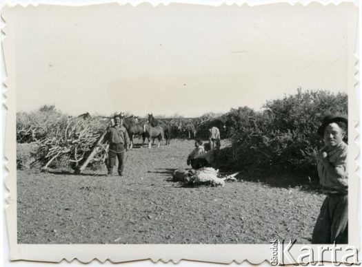Fotografia z kolekcji Moniki Mickiewicz / Fotografía de la colección de Monika Mickiewicz