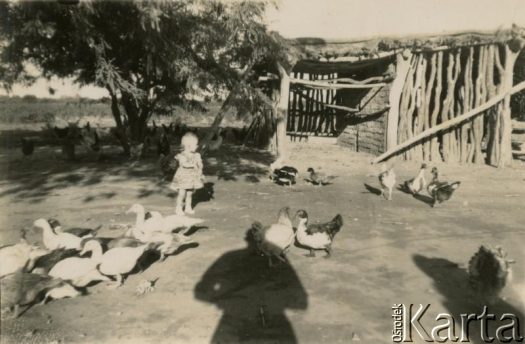 Fotografia z kolekcji Marii Kramarz / Fotografía de la colección de Maria Kramarz