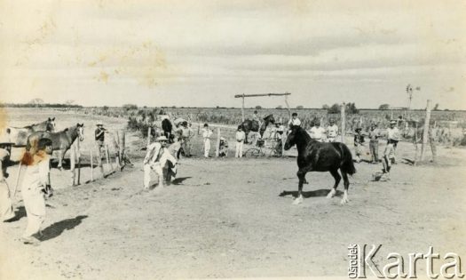 Fotografia z kolekcji Wiktorii Błaszczak / Fotografía de la colección de Wiktoria Błaszczak