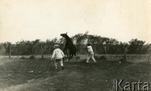 Fotografia z kolekcji Wiktorii Błaszczak / Fotografía de la colección de Wiktoria Błaszczak