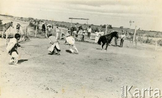 Fotografia z kolekcji Wiktorii Błaszczak / Fotografía de la colección de Wiktoria Błaszczak