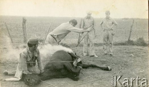 Fotografia z kolekcji Wiktorii Błaszczak / Fotografía de la colección de Wiktoria Błaszczak