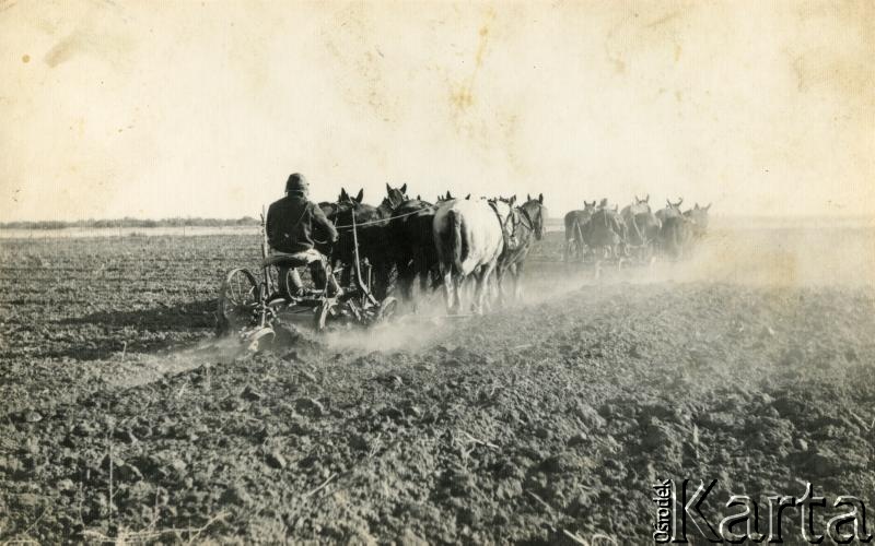 Fotografia z kolekcji Wiktorii Błaszczak / Fotografía de la colección de Wiktoria Błaszczak