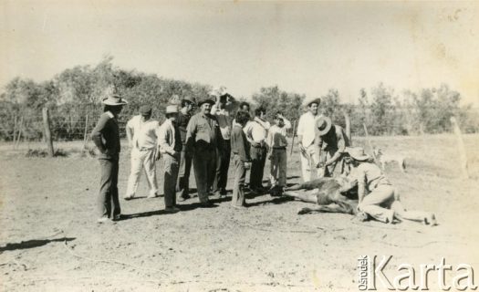 Fotografia z kolekcji Wiktorii Błaszczak / Fotografía de la colección de Wiktoria Błaszczak
