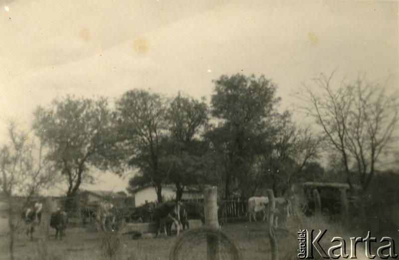 Fotografia z kolekcji Marii Oszust i Wieńczysława Boczara / Fotografía de la colección de Maria Oszust y Wieńczysław Boczar