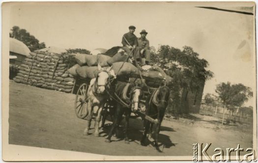 Fotografia z kolekcji Marii Oszust i Wieńczysława Boczara / Fotografía de la colección de Maria Oszust y Wieńczysław Boczar