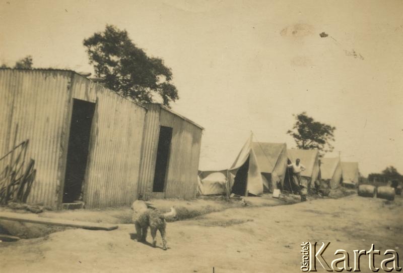 Fotografia z kolekcji Alfredo Kołodzieja / Fotografía de la colección de Alfredo Kołodziej