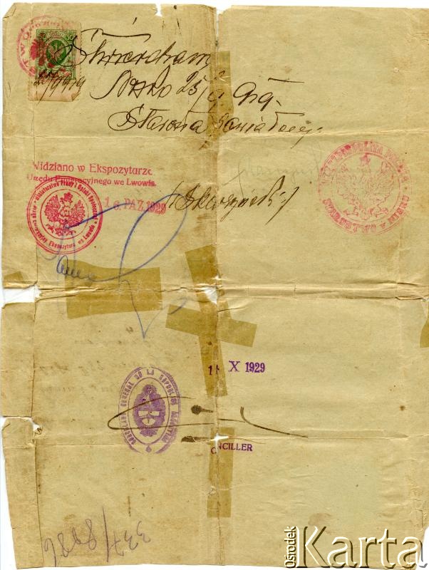 Dokument z kolekcji Alfredo Kołodzieja / Documento de la colección de Alfredo Kołodziej