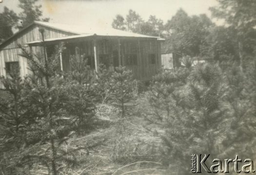 Fotografia z kolekcji Sylvii Szymuli /  Fotografía de la colección de Sylvia Szymula